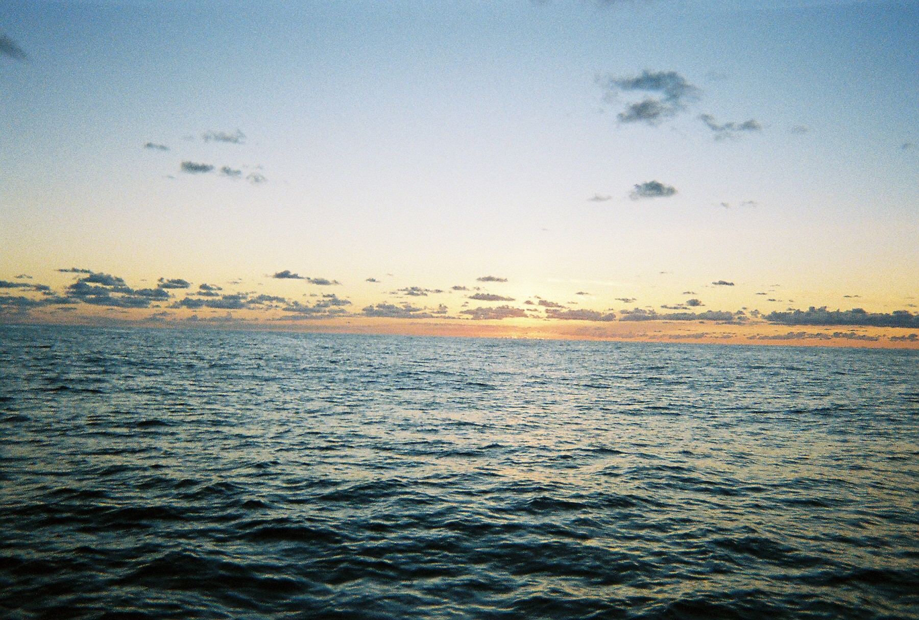 Annie Laurie Translant