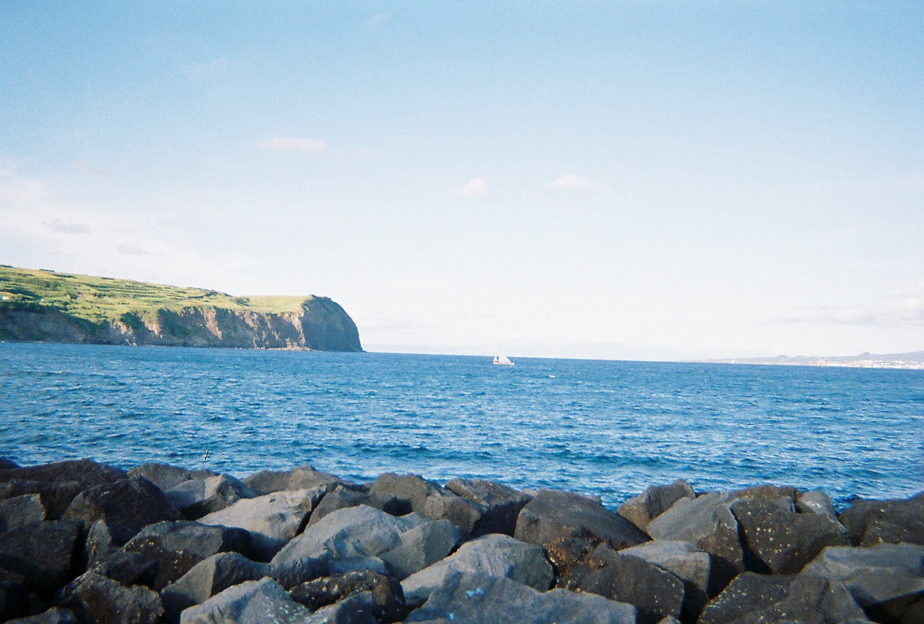 Annie Laurie Translant