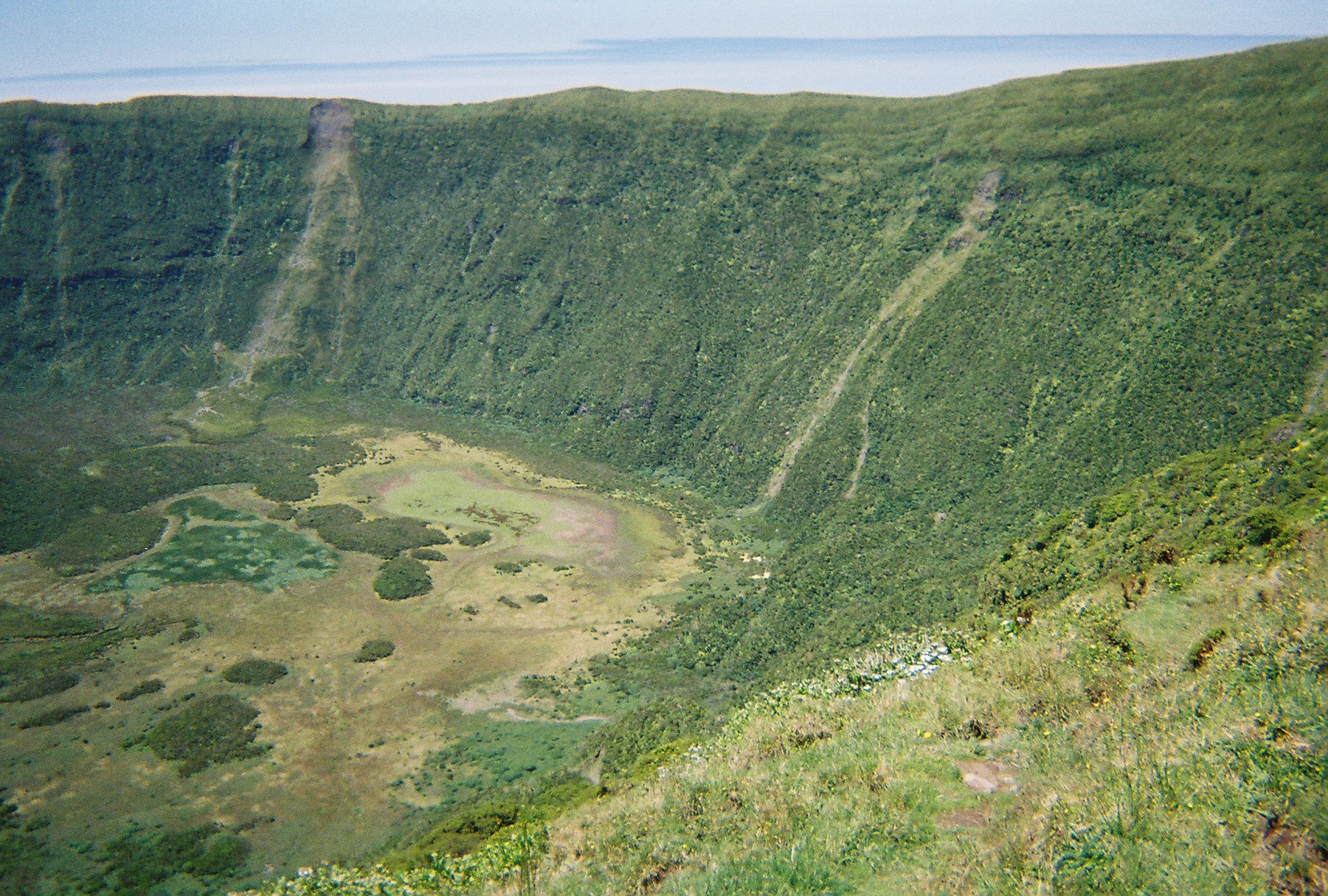 Annie Laurie Translant